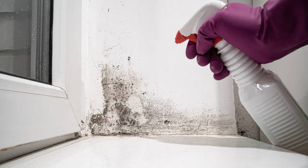 Reliable Sheridan, OR Water damage restoration Solutions